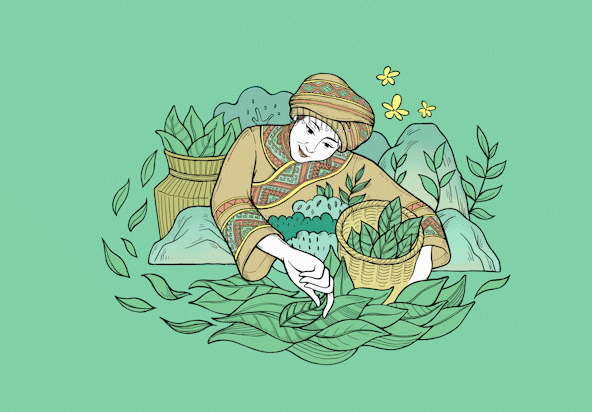 这样的插画风茶叶包装设计，让你“品”出精致感